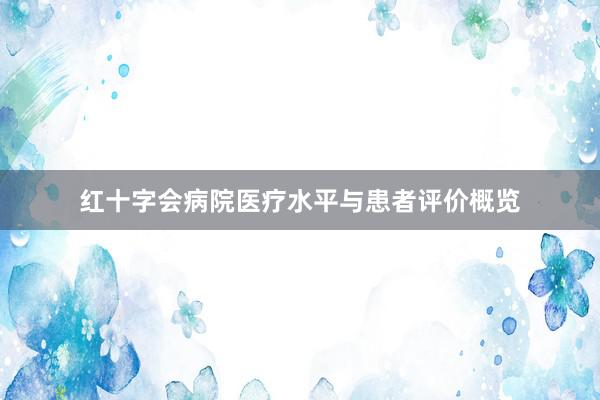 红十字会病院医疗水平与患者评价概览